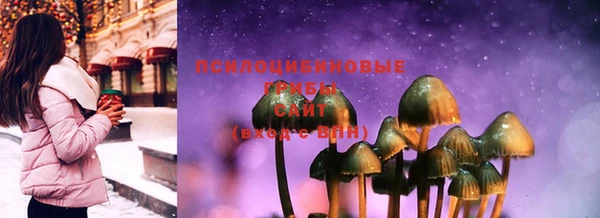 прущий лед Алзамай