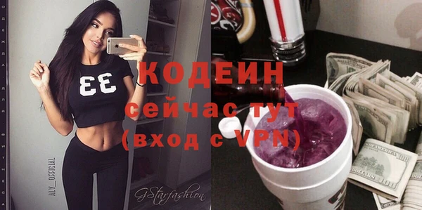 прущий лед Алзамай